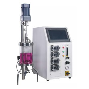 skleněný enzymový reaktor